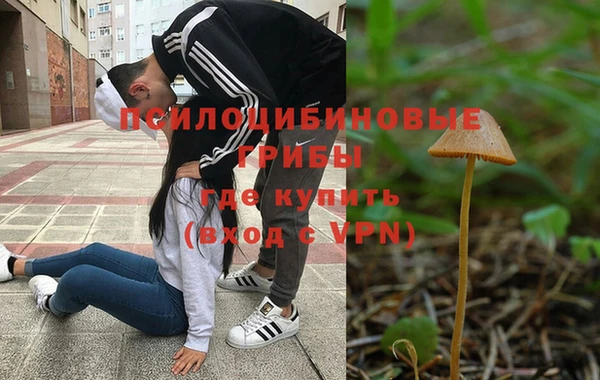 спайс Алексин