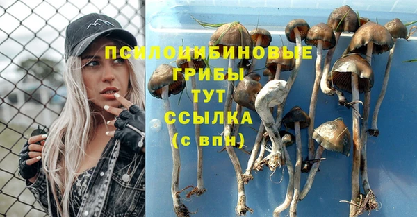 мефедрон Алексеевка